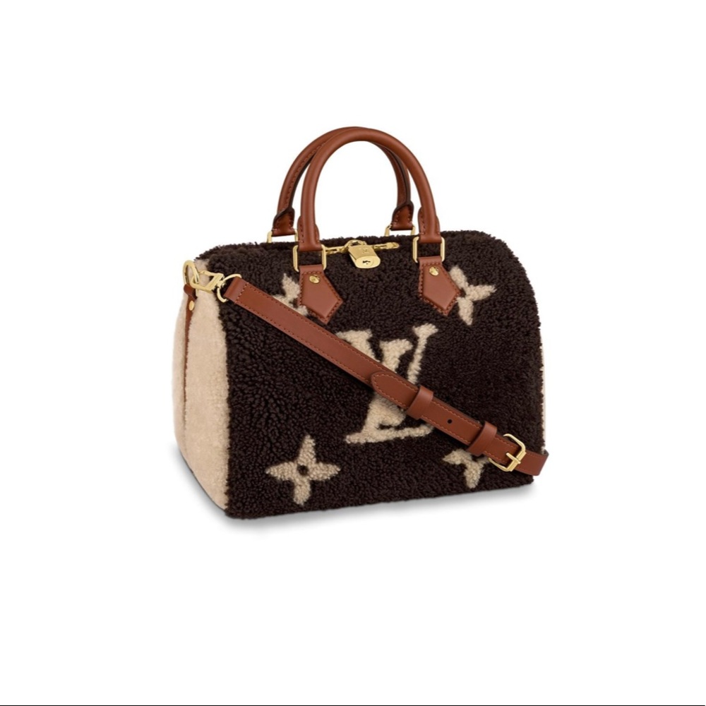 LOUIS VUITTON TEDDY SPEEDY BANDOULIÈRE 25